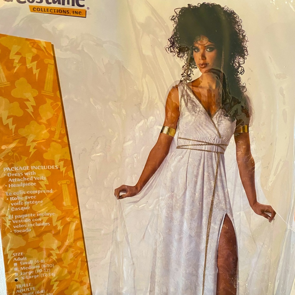 Grecian Goddess Costume